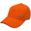 4289_colour_image_file(Orange,Black)