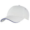 4289_colour_image_file(White,Royal)