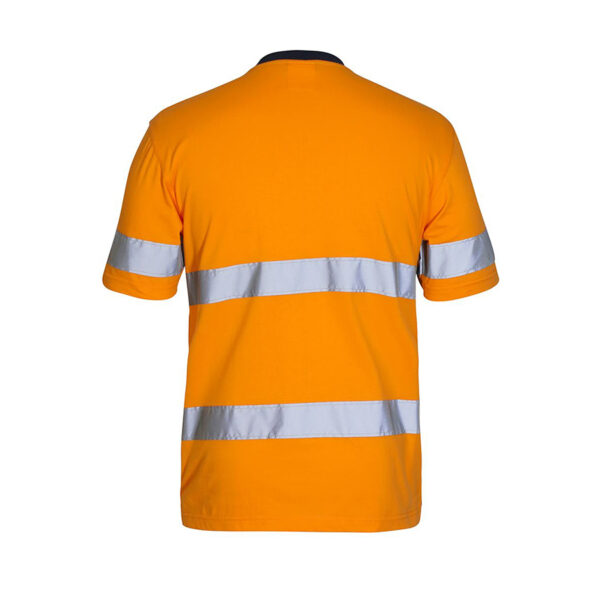 6DNTC-Back 6DNTC-Back