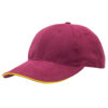 8001_colour_image_file(Maroon,Gold)