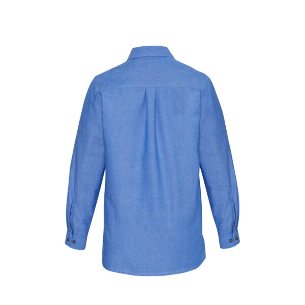 LB6201-Back LB6201-Back