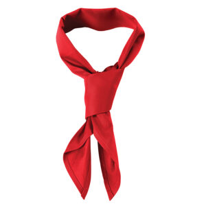 JB'S CHEFS SCARF