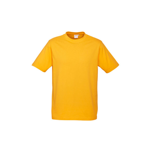 T10032_T10012_Gold T10032_T10012_Gold