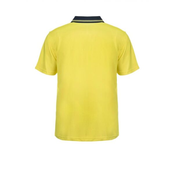 _060_wsp205_ny_2 _060_wsp205_ny_2