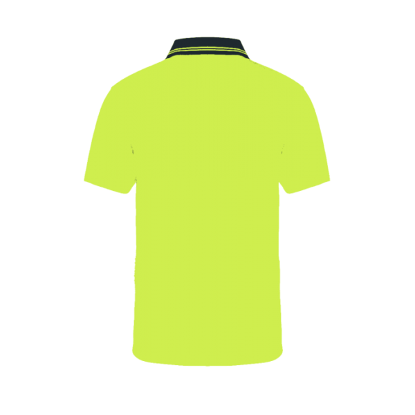 _063_wsp201_ny_2 _063_wsp201_ny_2