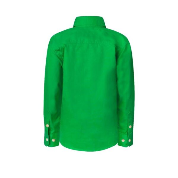 _232_wsk131_grn_2_1 _232_wsk131_grn_2_1