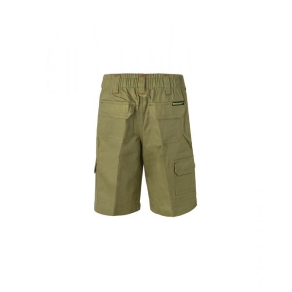 _251_wpk502_kha_2 _251_wpk502_kha_2